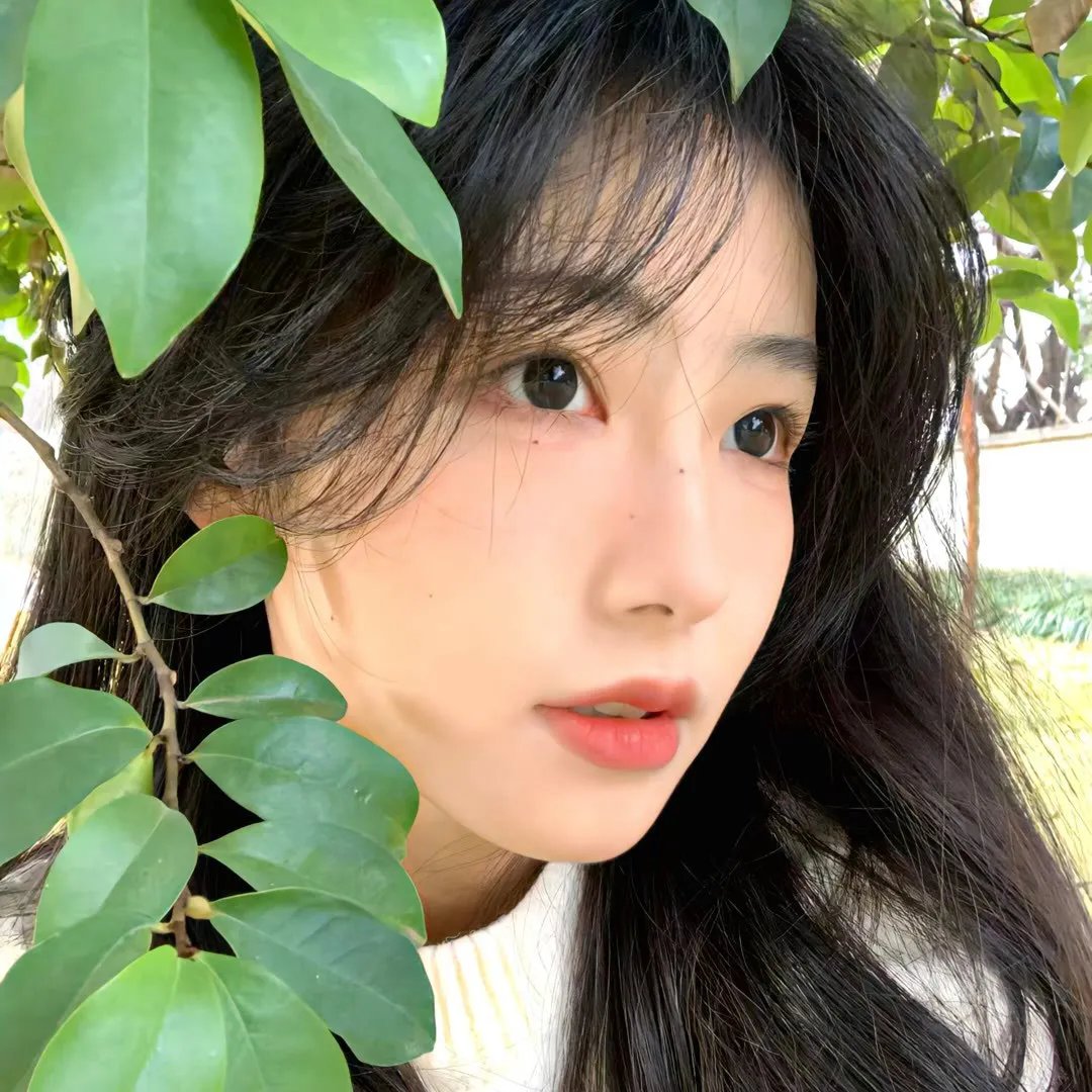 我破碎的真理子